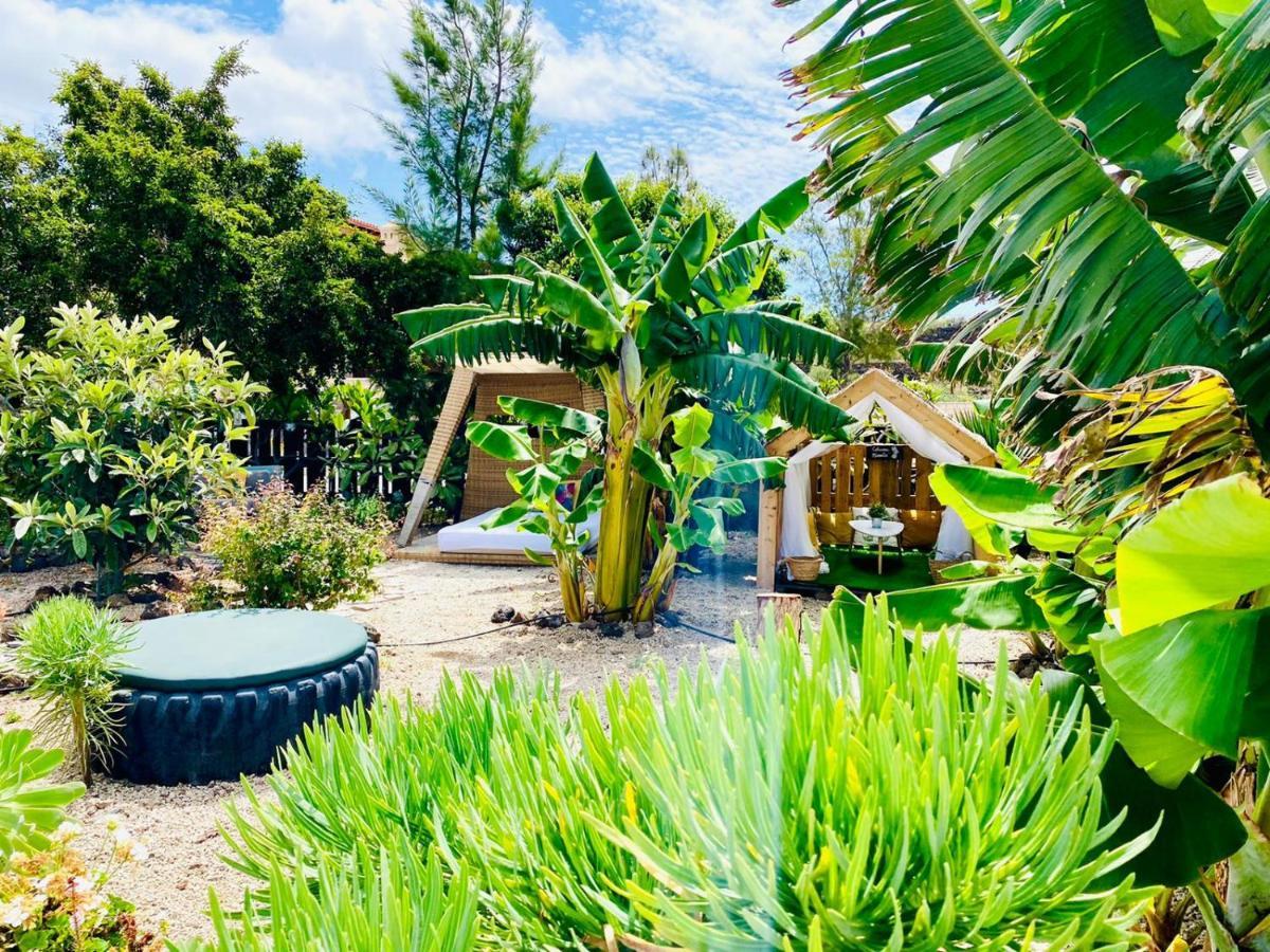 Alisios Hot Tub, Piscina Y Naturaleza Buzanada Ngoại thất bức ảnh